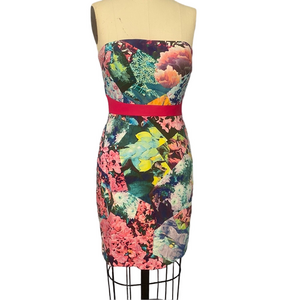 Cynthia Steffe Floral Strapless Dress – Sz 4